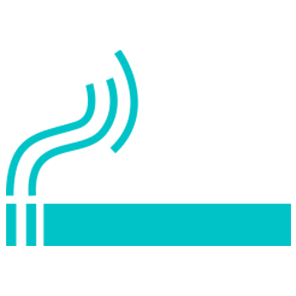 Air-purifier-cleaner-sanitizer-Anti-Smoke-Tobacco-Technology